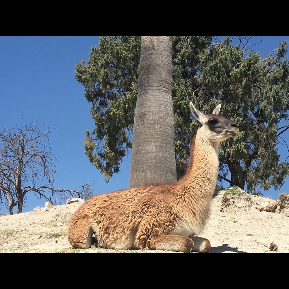 Meet your Posher, Yessica